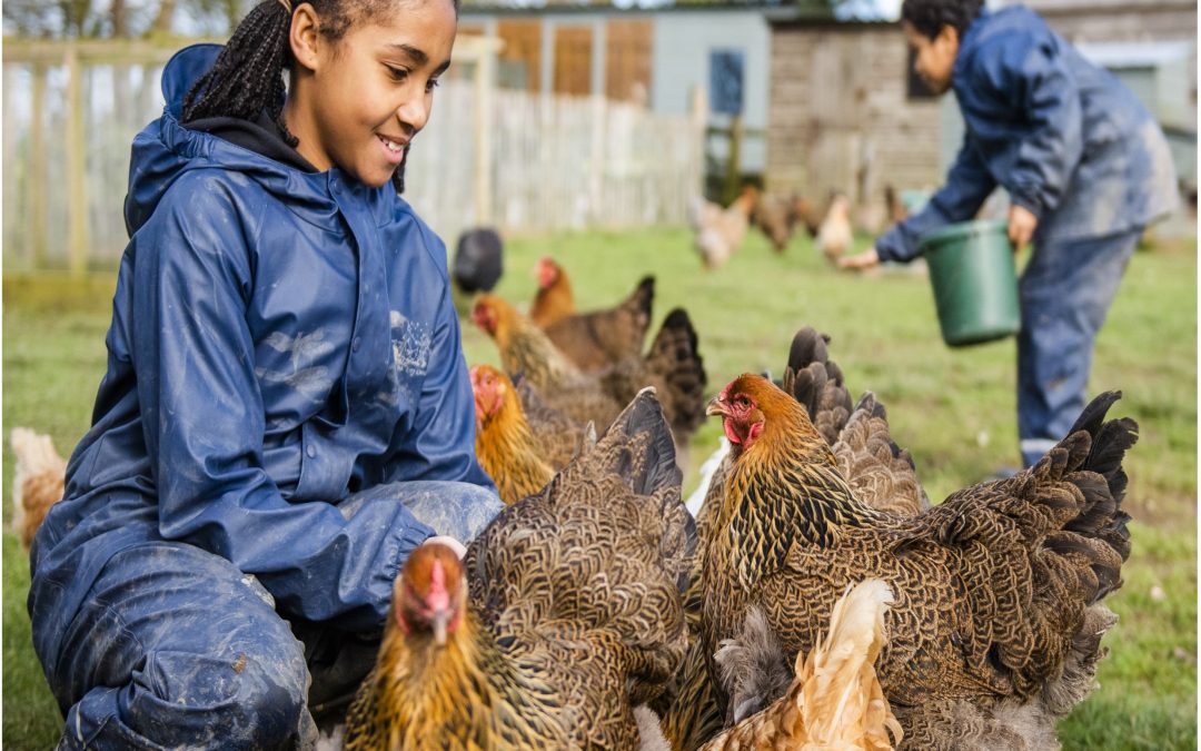 Farms for City Children