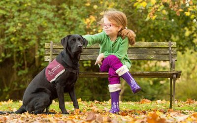 Hearing Dogs for Deaf People