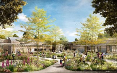 The Royal Horticultural Society regeneration on a roll