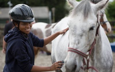 Strength In Horses